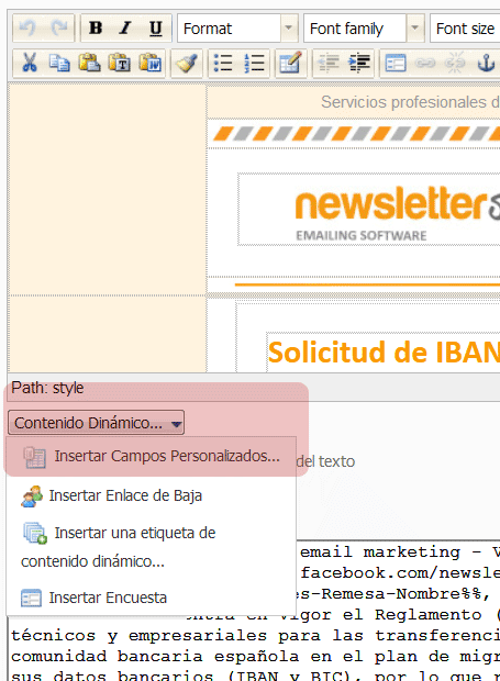 Insertar un campo personalizado en un newsletter