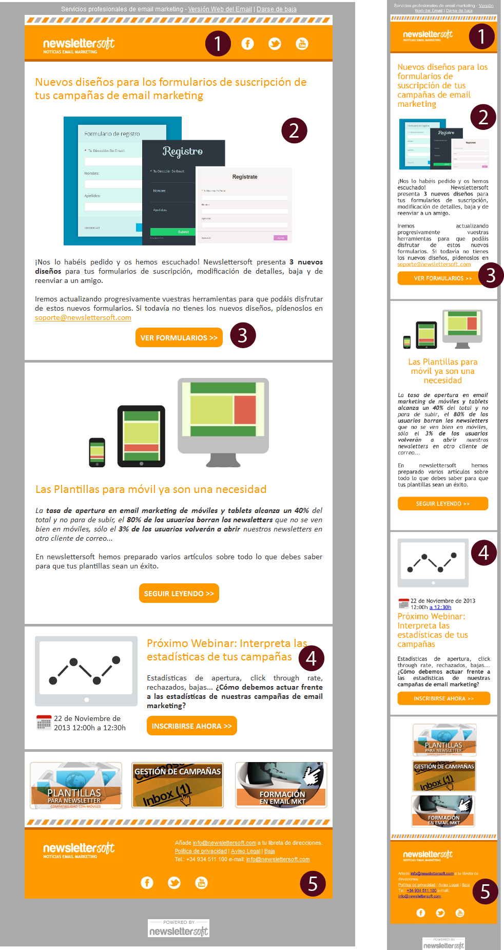 Nueva plantilla para newsletters responsive de NewsletterSoft